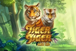 Tiger Tiger