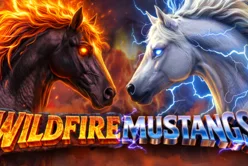 Wildfire Mustangs