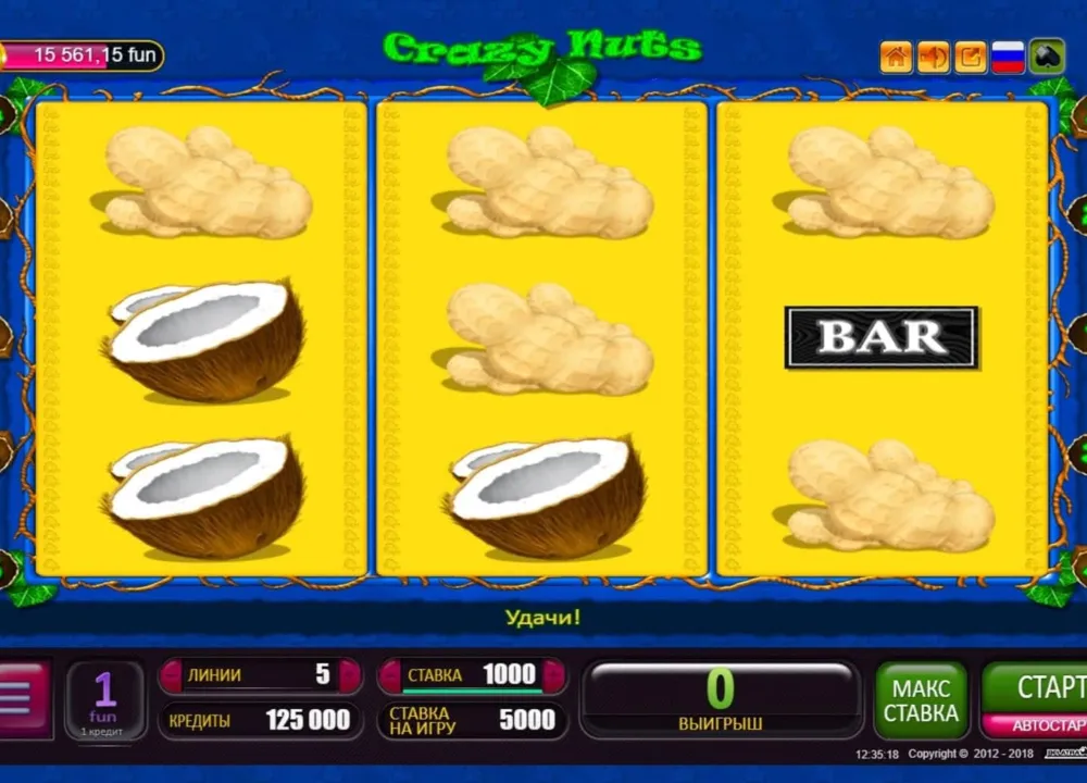 Crazy Nuts