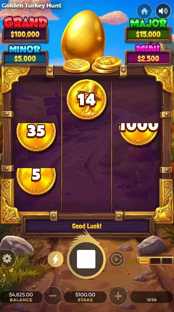 Golden Turkey Hunt Hold and Win